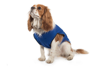 Ancol Dog Cooling Vest XX Large